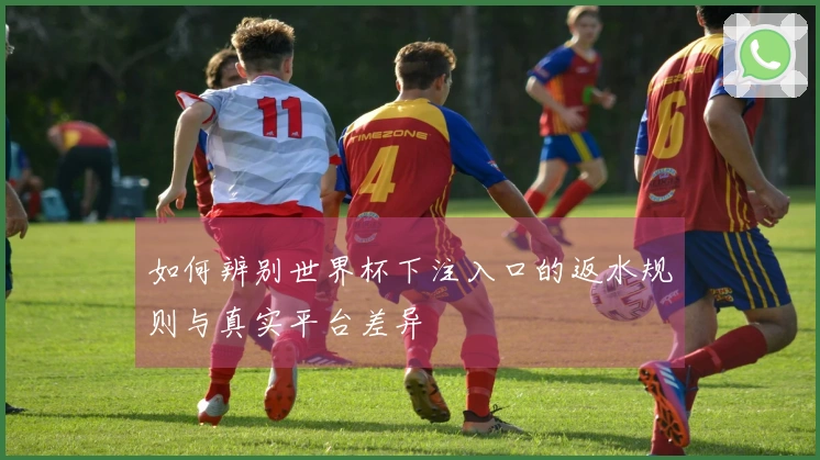 爱游戏体育资讯图