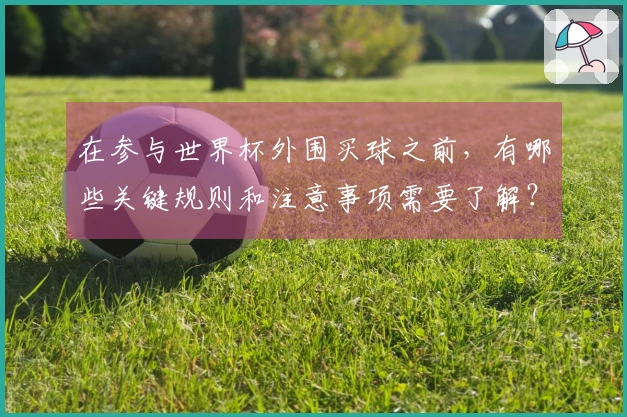 在参与世界杯外围买球之前，有哪些关键规则和注意事项需要了解？