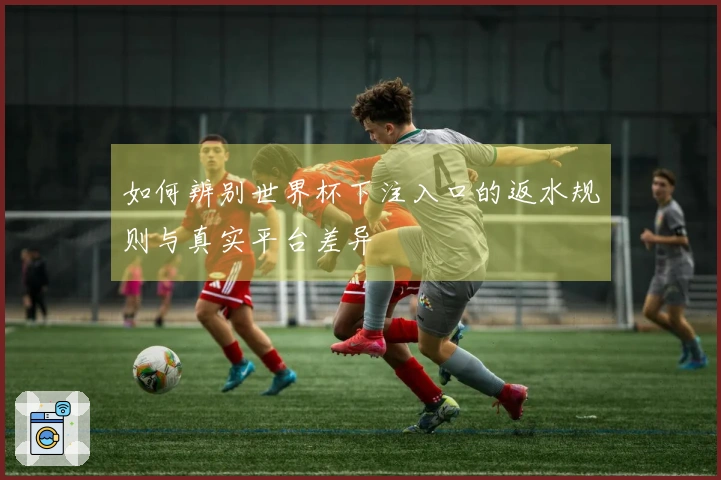 如何辨别世界杯下注入口的返水规则与真实平台差异