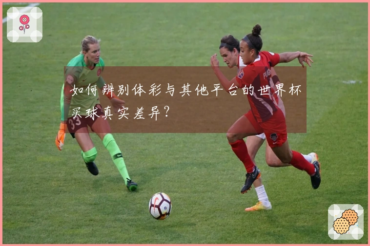 如何辨别体彩与其他平台的世界杯买球真实差异？