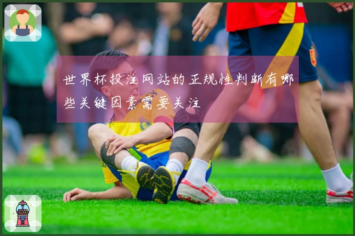世界杯投注网站的正规性判断有哪些关键因素需要关注